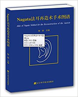 Nagata���������g(sh��)���g(sh��)�D�V