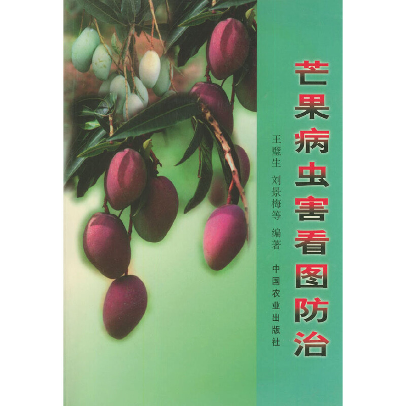 â�����x�����D����