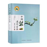 �Ї����z���YԴ