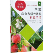 �O�����x���Gɫ���ز�ɫ�D�V