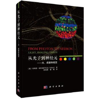  �Ĺ��ӵ���(j��ng)Ԫ�������������ҕ�X(ju��)