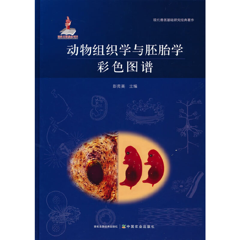 ����M���W�c��̥�W��ɫ�D�V