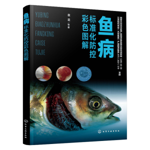 �~����(bi��o)��(zh��n)�����ز�ɫ�D��