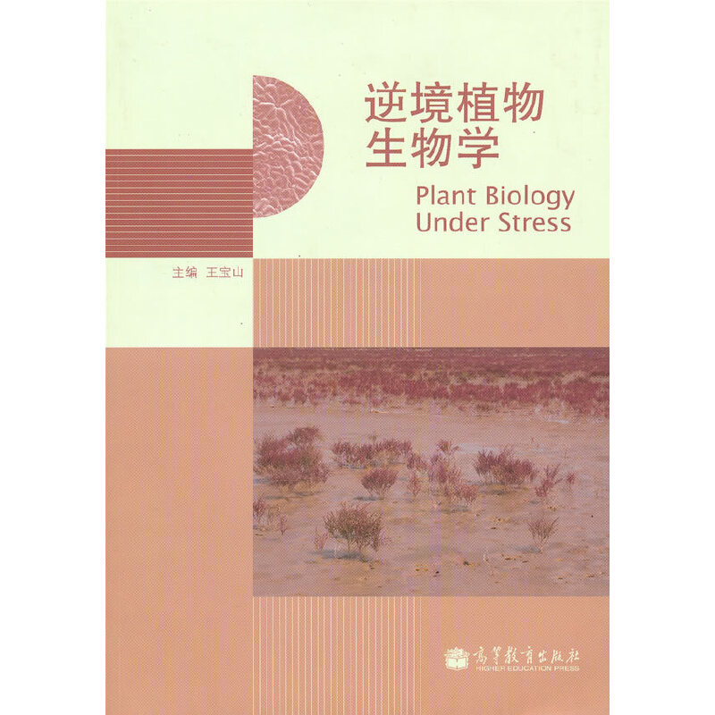 �澳ֲ������W