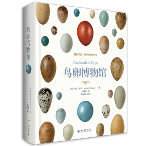 �B�Ѳ����^