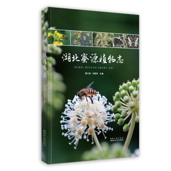 ������Դֲ��־