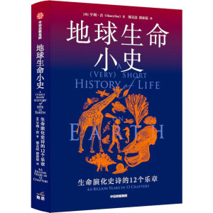 ��������Сʷ