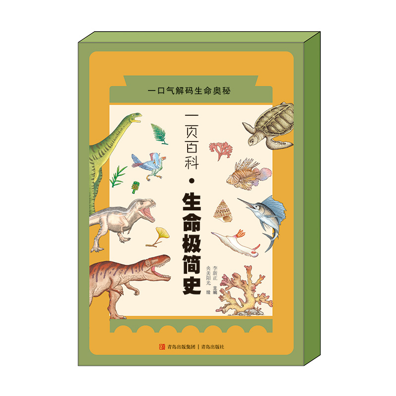 һ�(y��)�ٿơ������O��(ji��n)ʷ