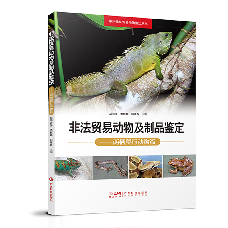 �Ƿ��Q(m��o)�ׄ��Ｐ��Ʒ�b�� �ɗ����Є���ƪ Ұ������ɗ����Є����b�e ����a(ch��n)Ʒ������Ʒ�b�e �Ї��Ƿ��Q(m��o)�ׄ����b������ �V�|��