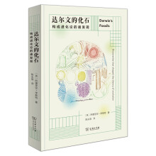 �_���ĵĻ�ʯ������(g��u)���M��Փ���T�l(f��)�F(xi��n)