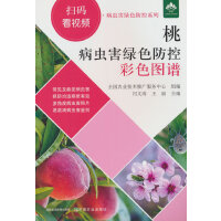 �Ҳ��x(ch��ng)���Gɫ���ز�ɫ�D�V