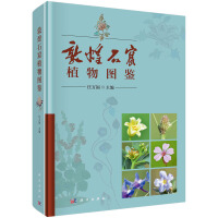 �ػ�ʯ��ֲ��D�b