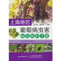 �Ϻ��؅^(q��)���Ѳ��x���Gɫ�����փ�(c��)