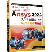 Ansys2024�����W����Ԫ���������T����ͨ