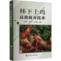 �������u��Ч���B(y��ng)���g(sh��)