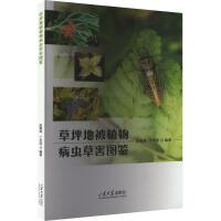  ��ƺ�ر�ֲ�ﲡ�x(ch��ng)�ݺ��D�b