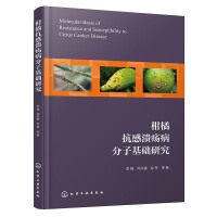 ���ٿ��Н��������ӻ��A(ch��)�о�