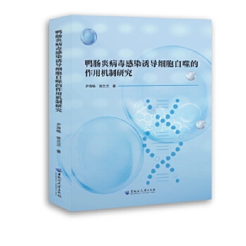  ���c�ײ�����Ⱦ�T��(d��o)��(x��)�����ɵ����ÙC(j��)���о�