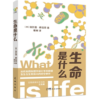  ������ʲô