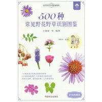 500�N��ҊҰ��Ұ���R�e�D�b