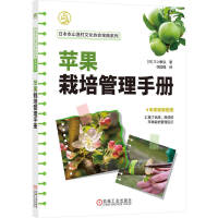 �O����������փ�