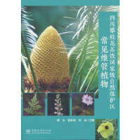 �Ĵ���֦���K�F���Ҽ���Ȼ���o(h��)�^(q��)��Ҋ�S��ֲ��