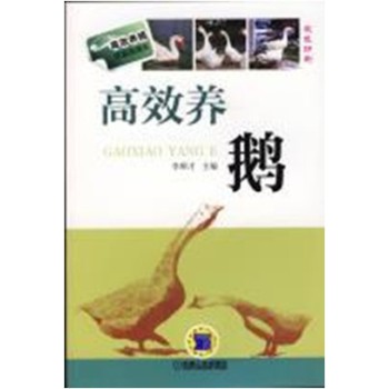 ��Ч�B(y��ng)�Z