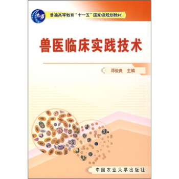 �F�t(y��)�R�����`���g