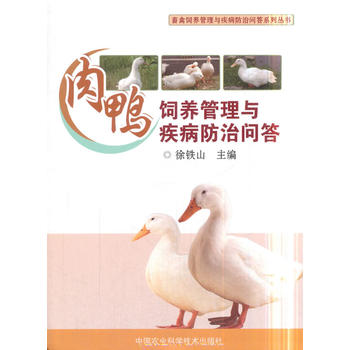 ������B(y��ng)�����c�������Ά�(w��n)��