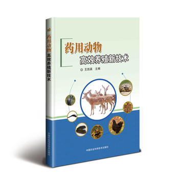 ˎ�Ä�(d��ng)���Ч�B(y��ng)ֳ�¼��g(sh��)