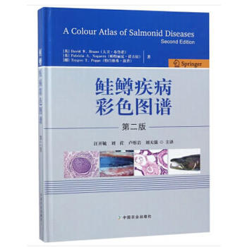 �q�V������ɫ�D�V����2��)