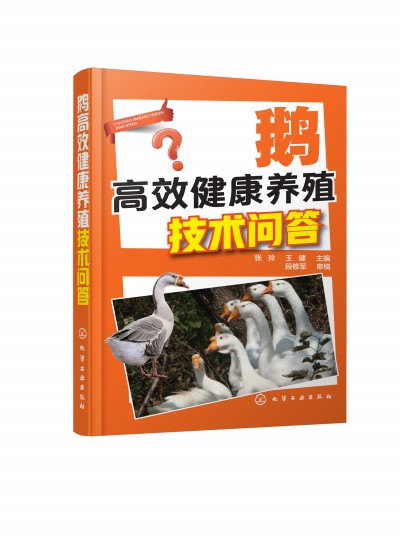 �Z��Ч�����B(y��ng)ֳ���g(sh��)����