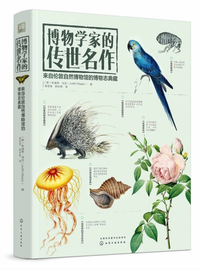 ����W�ҵĂ������������Ԃ�����Ȼ�����^�Ĳ���־���