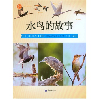 ˮ�B(ni��o)�Ĺ���